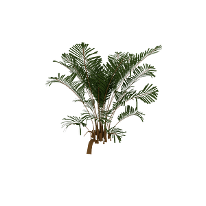Plant_3MPLTsng_10033